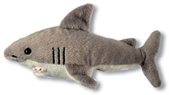 Shark