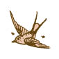 little-bird3.jpg
