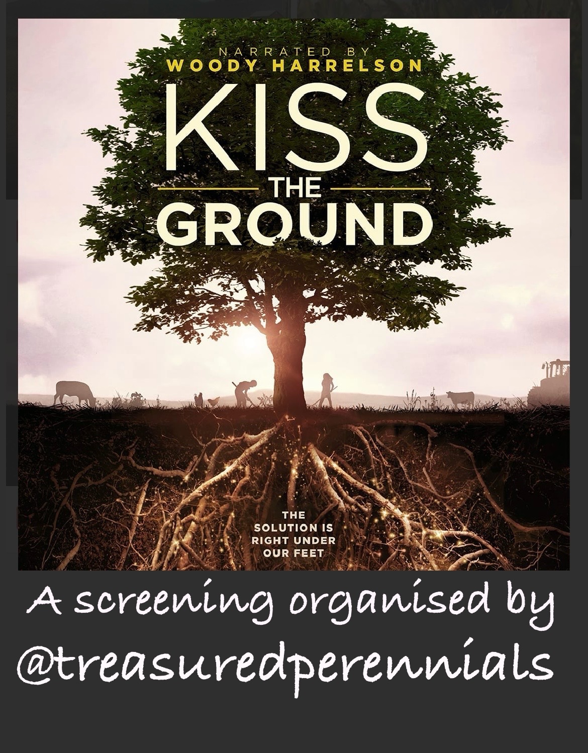 Kiss the Ground screening