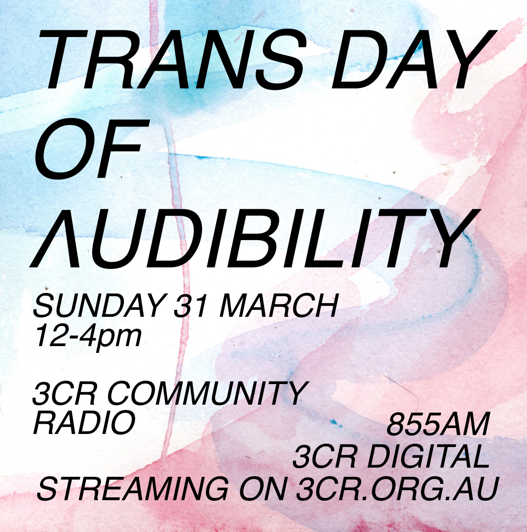 Trans Day of Audibility 2024 