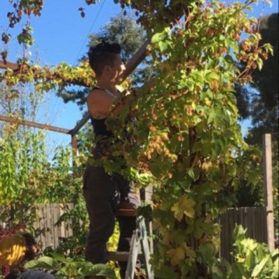 Therapeutic Horticulture