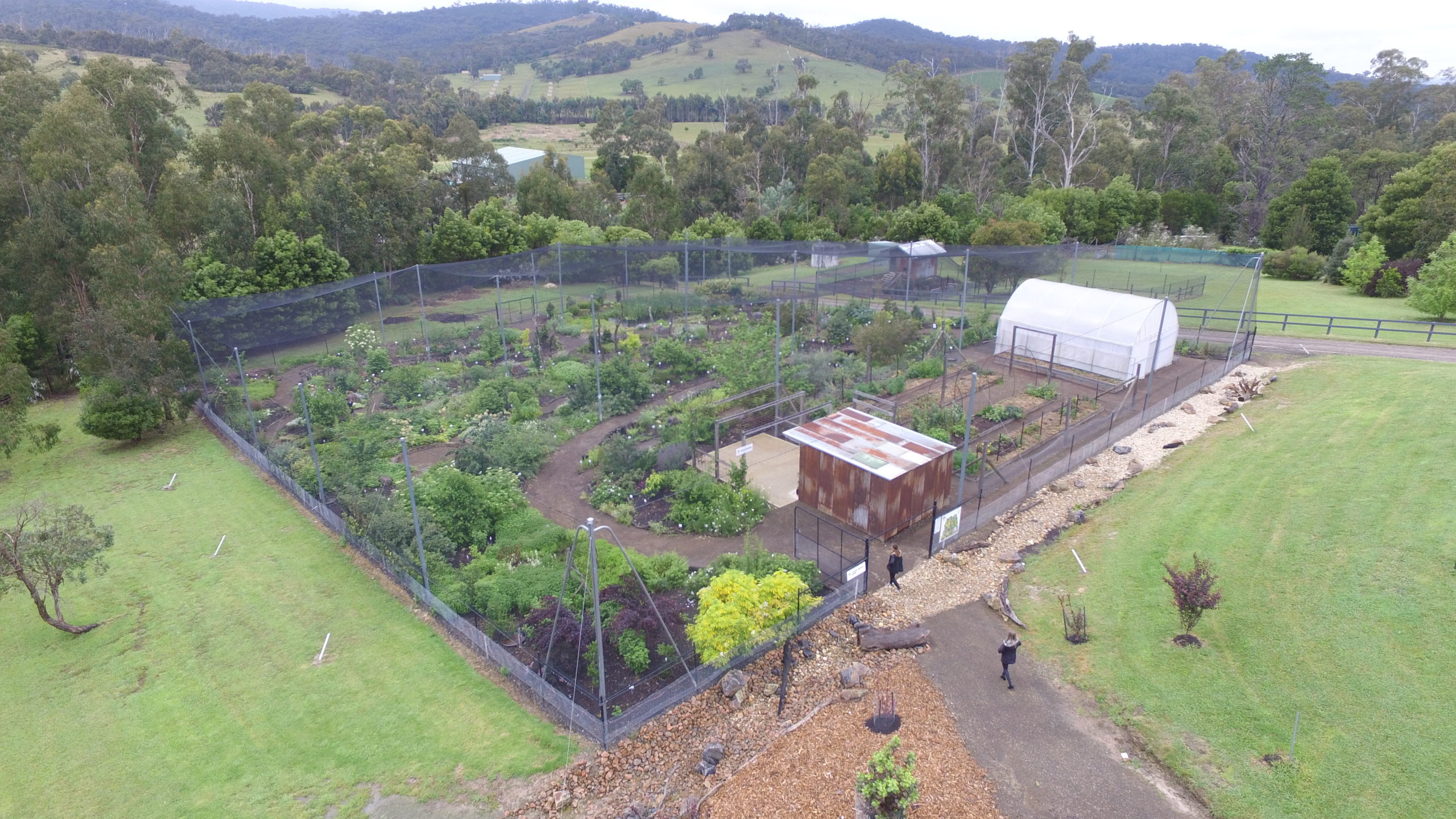 Edible Forest Yarra Valley