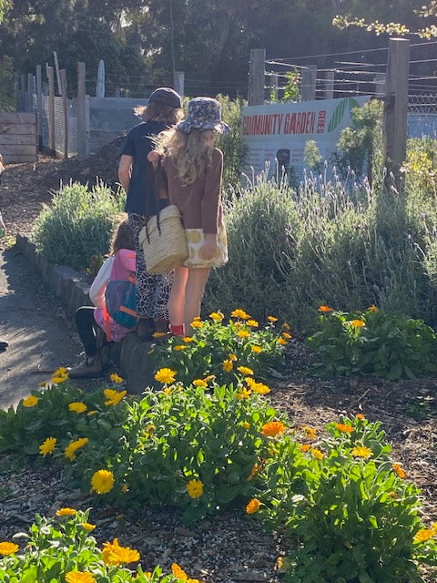 Filiz Takar - Junior Herbalists