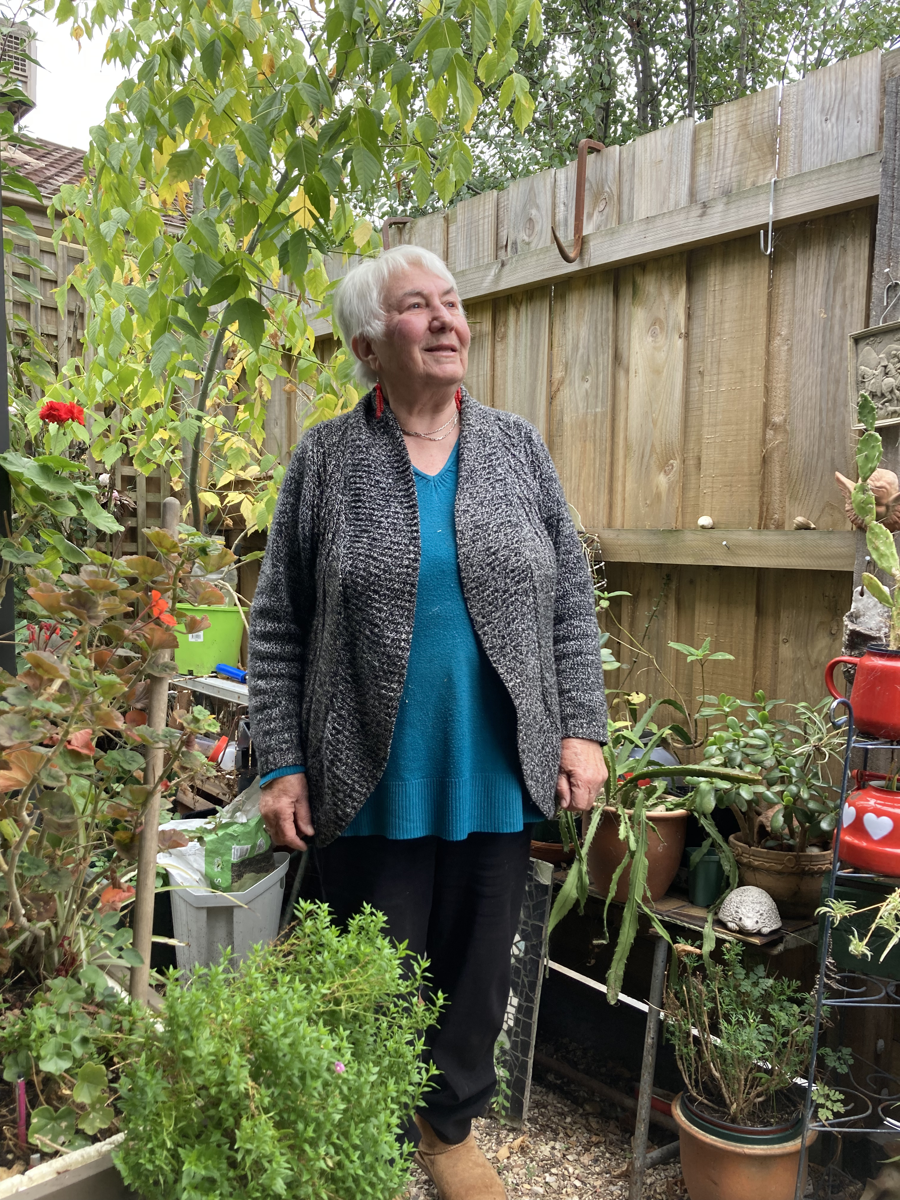Foraging for food in the Black Forest
