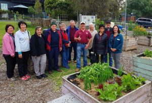 Community gardens and social connections
