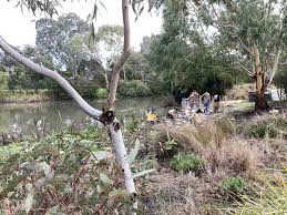 Rain Moth Community Nursery