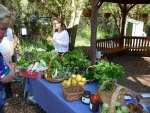 Backyard yields at the Warrandyte Food Swap