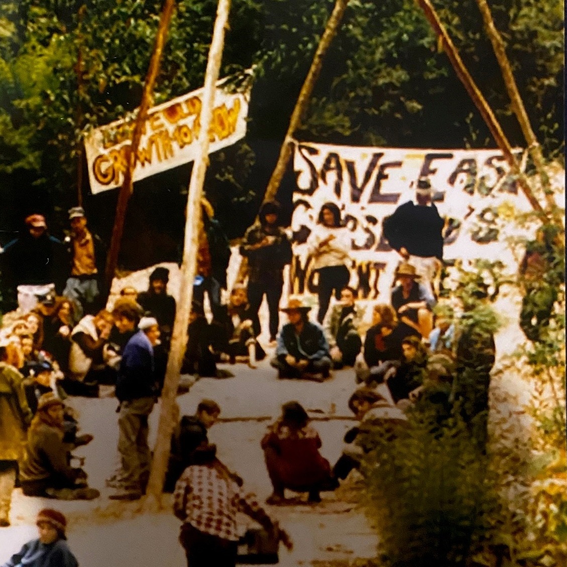 A group of protesters blocking a road in a forest with a wooden structure.
