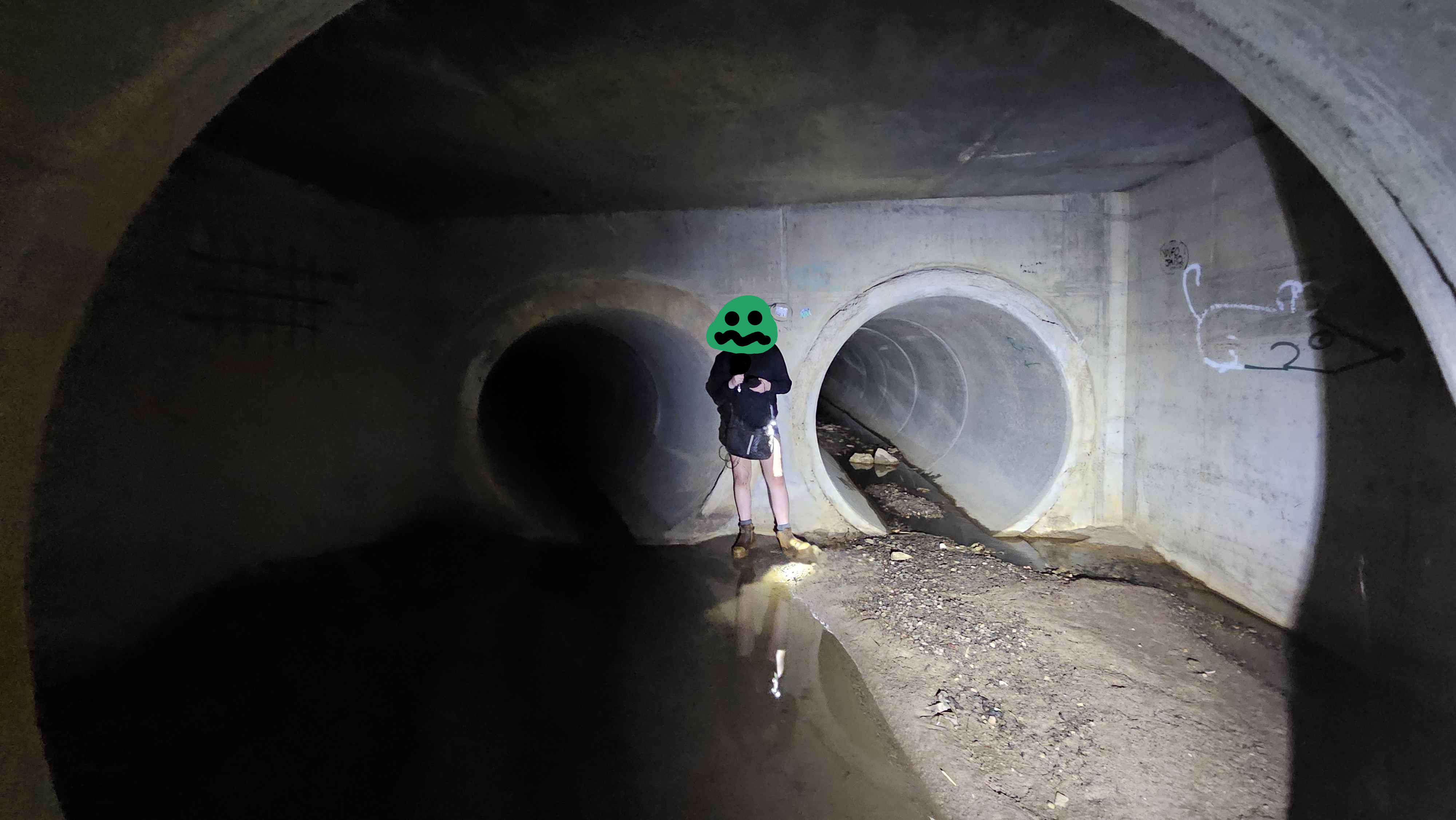 Drain Spelunker Standing in a concrete junction that forks into two drains