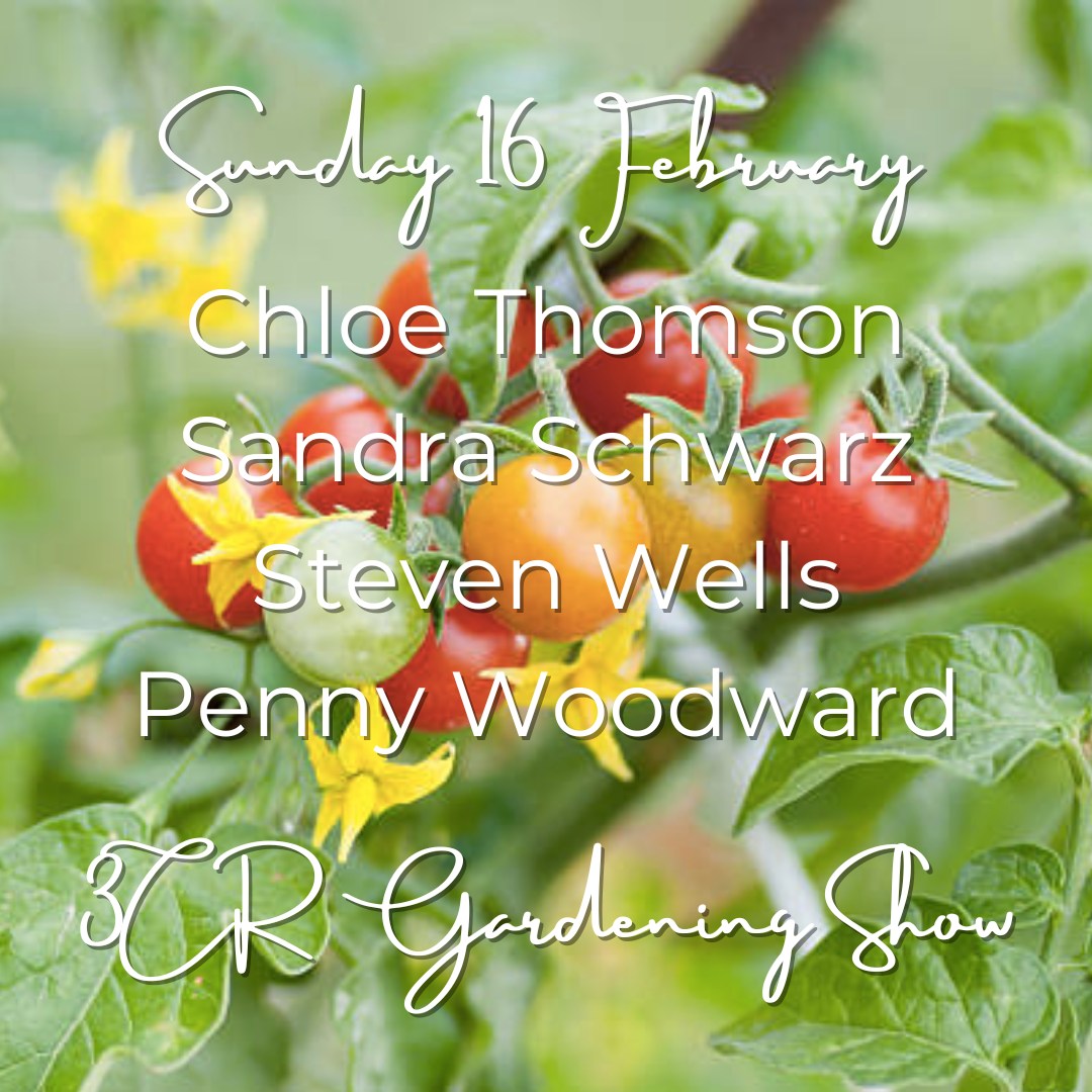 16 February, Chloe Thomson joined by Sandra Schwarz, Steven Wells and Penny Woodward