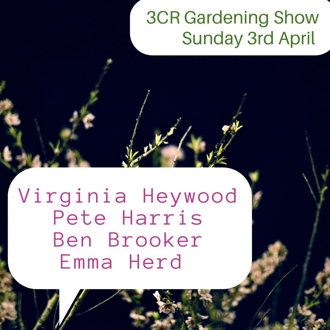 3CR Gardening Show - Virginia Heywood, Emma Herd, Pete Harris, and Ben Brooker