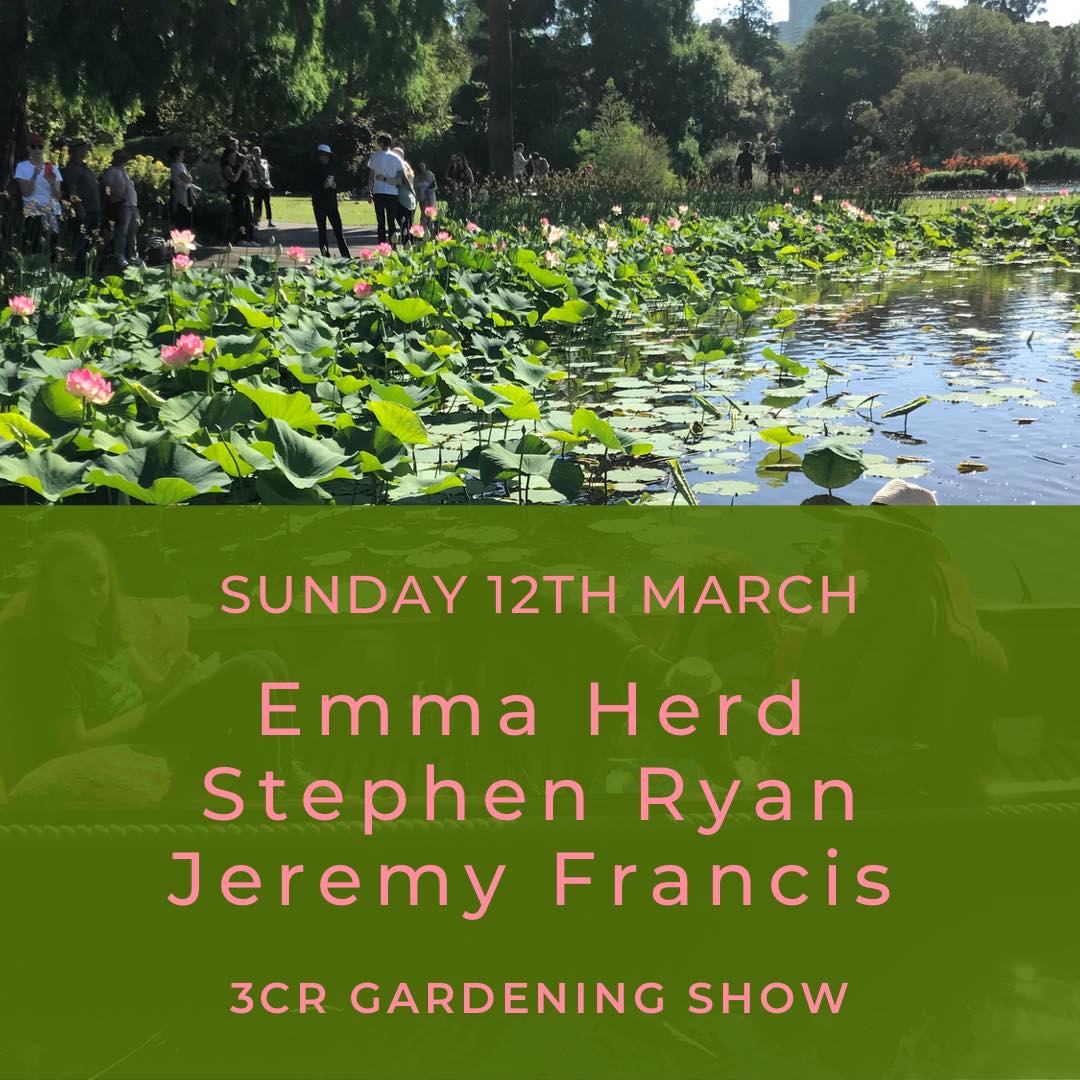 3CR Gardening Show  - Emma Herd will be joined by Stephen Ryan and Jeremy Francis
