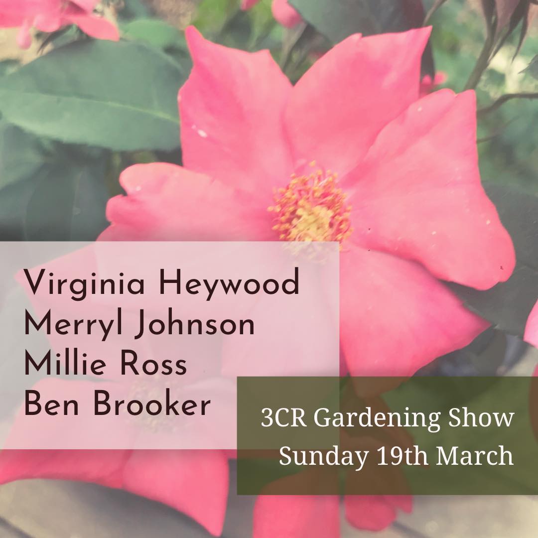 3CR Gardening Show  - Virginia Heywood, Merryl Johnson, Millie Ross and Ben Brooker