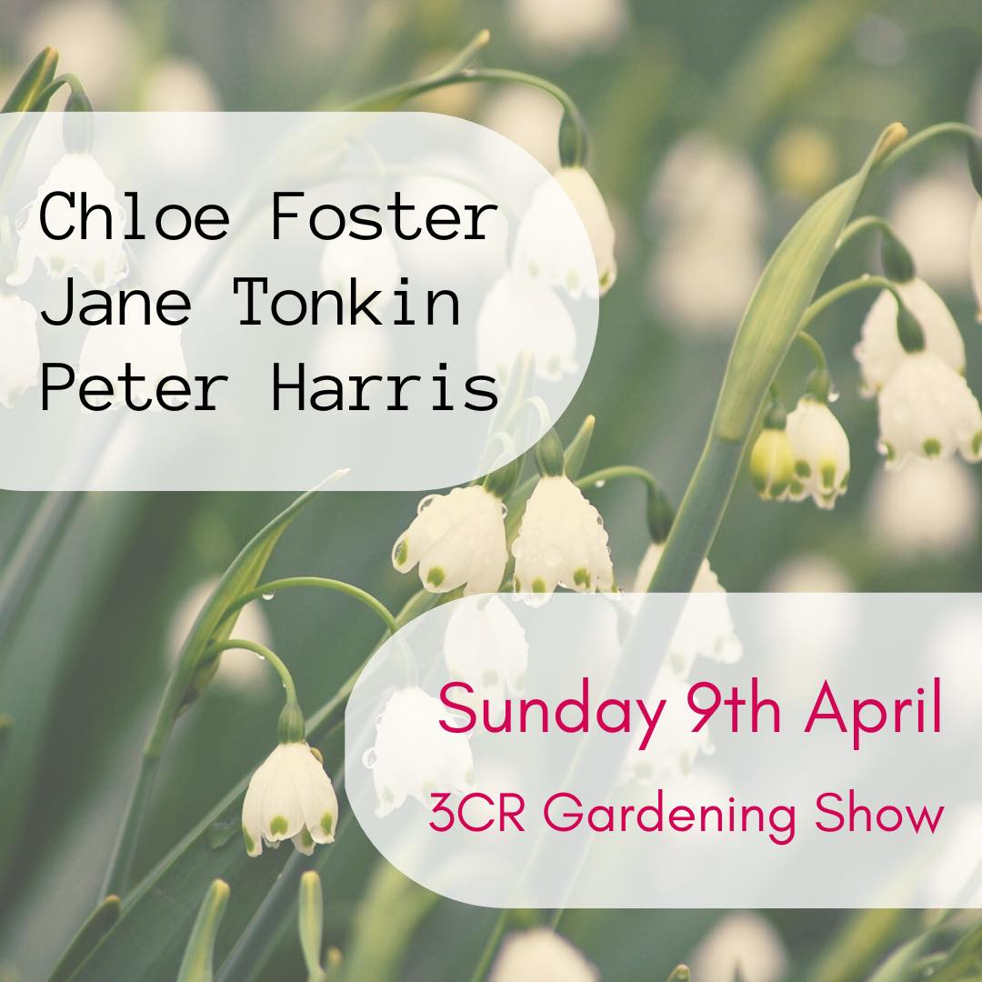 3CR Gardening Show  - Chloe Foster will be joined by Jane Tonkin and Peter Harris
