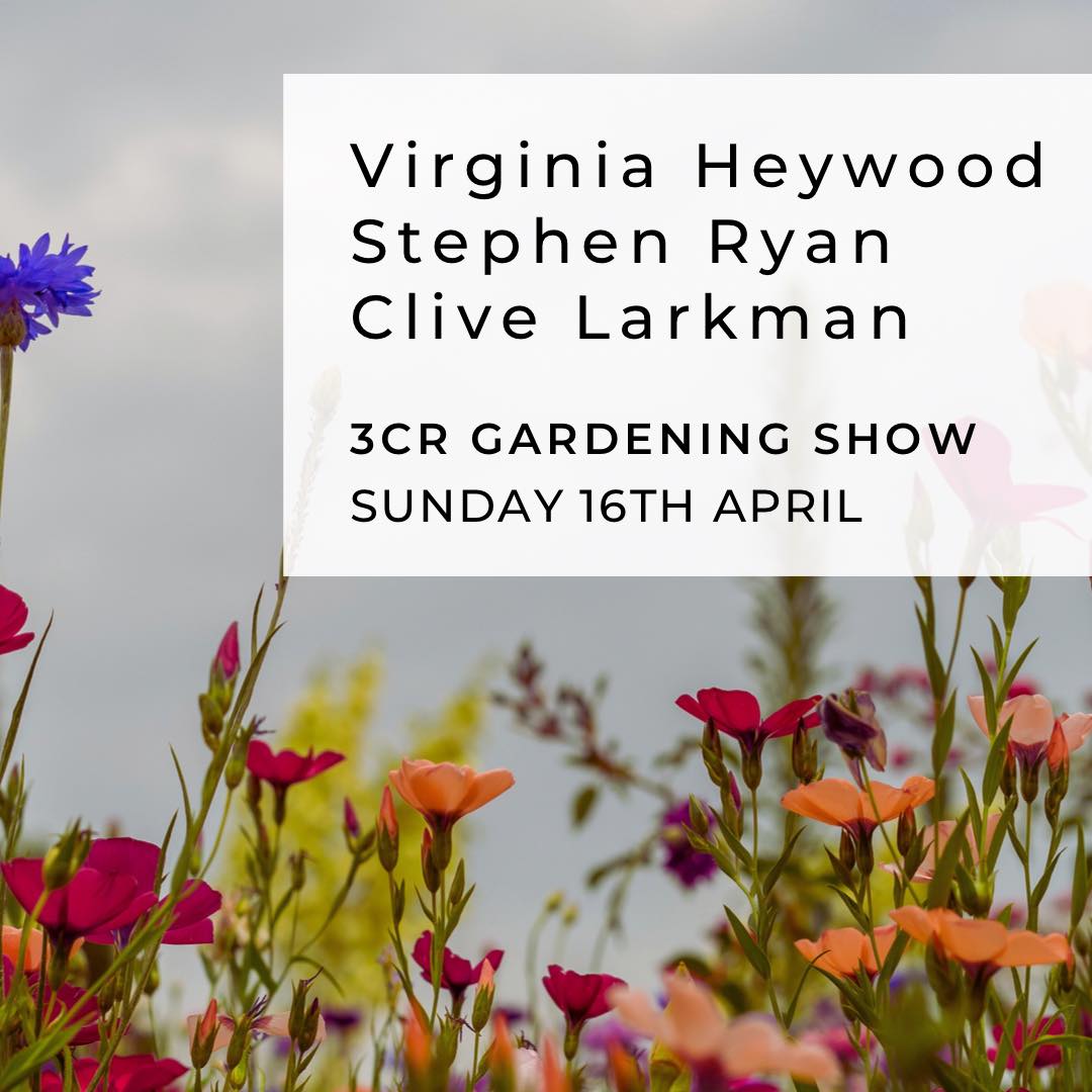 3CR Gardening Show  - Virginia Heywood will be joined by Stephen Ryan and Clive Larkman