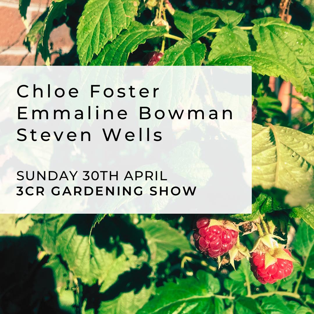 3CR Gardening Show  - Chloe Foster will be joined by Emmaline Bowman and Steven Wells