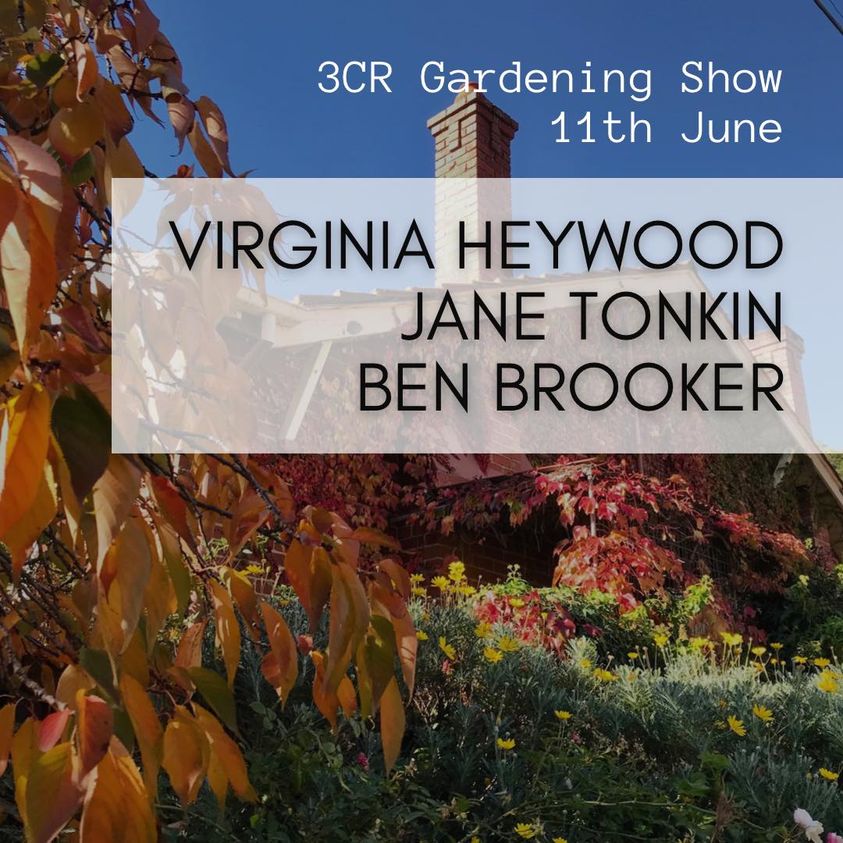 3CR Gardening Show  - Virginia Heywood will be joined Jane Tonkin & Ben Brooker