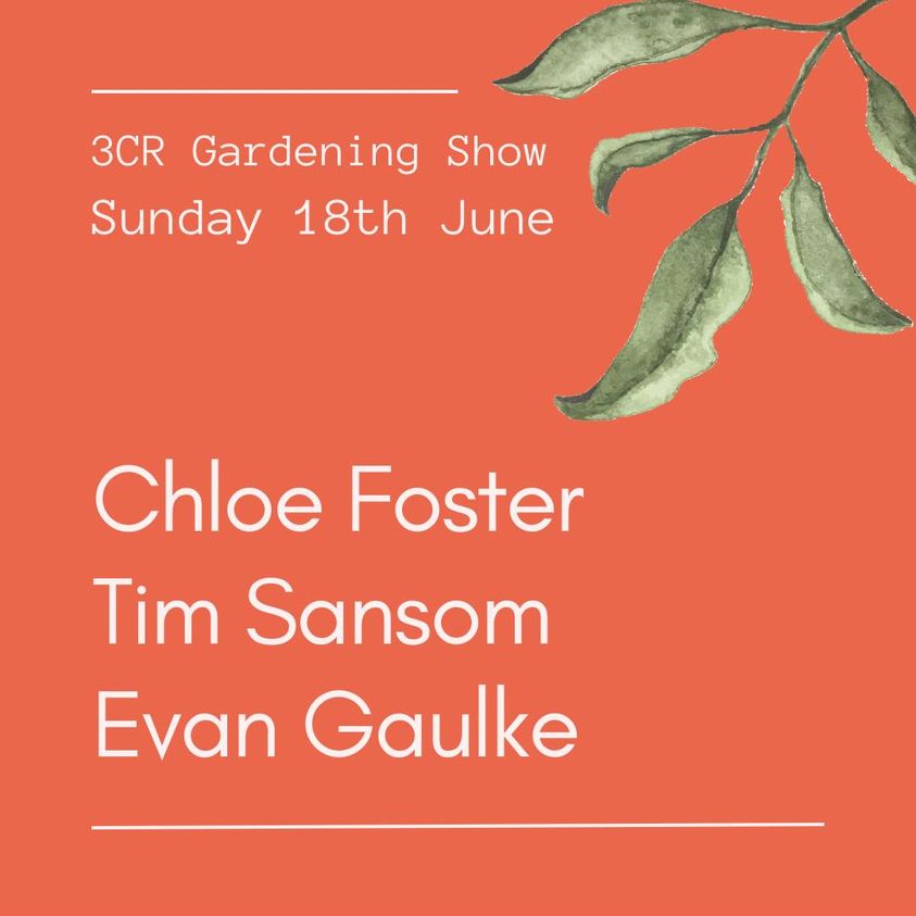 3CR Gardening Show  - Chloe Foster will be joined by Tim Sansom and Evan Gaulke