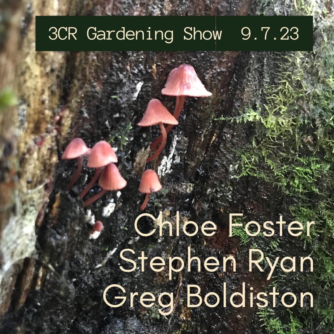 3CR Gardening Show  - Chloe Foster will be joined by Stephen Ryan and Greg Boldiston
