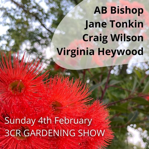 AB Bishop is joined live by Jane Tonkin, Craig Wilson, and Virginia Heywood
