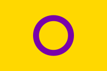 intersex flag purple circle on yellow background