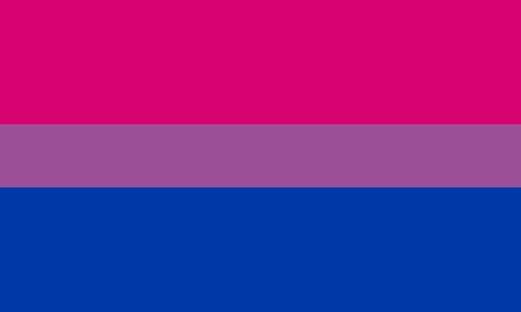 bi flag pink purple and blue stripes