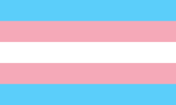 Trans pride flag blue pink white horizontal stripes