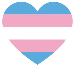 trans blue pink white horizontal stripes trans colours in heart shape