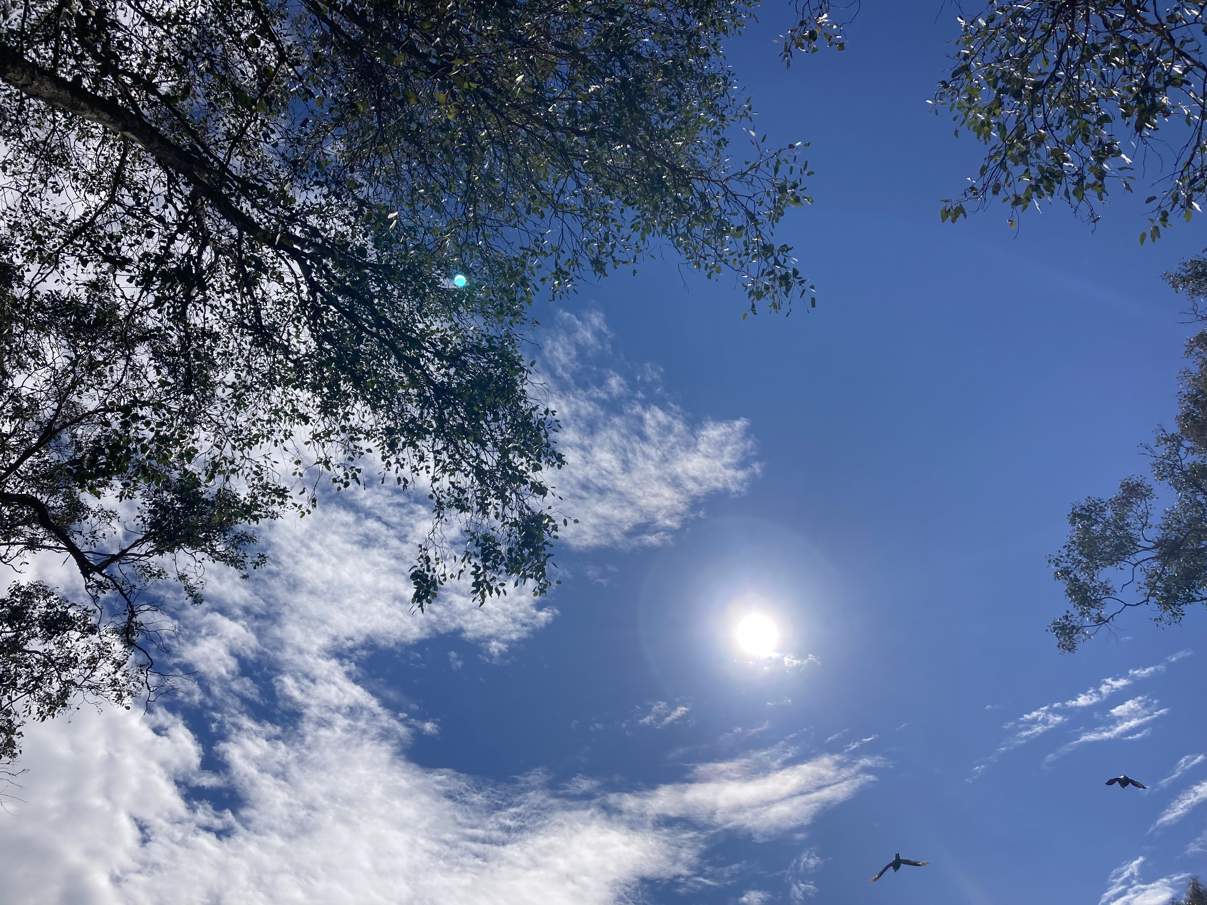 A holistic approach to embodied trauma - Chris