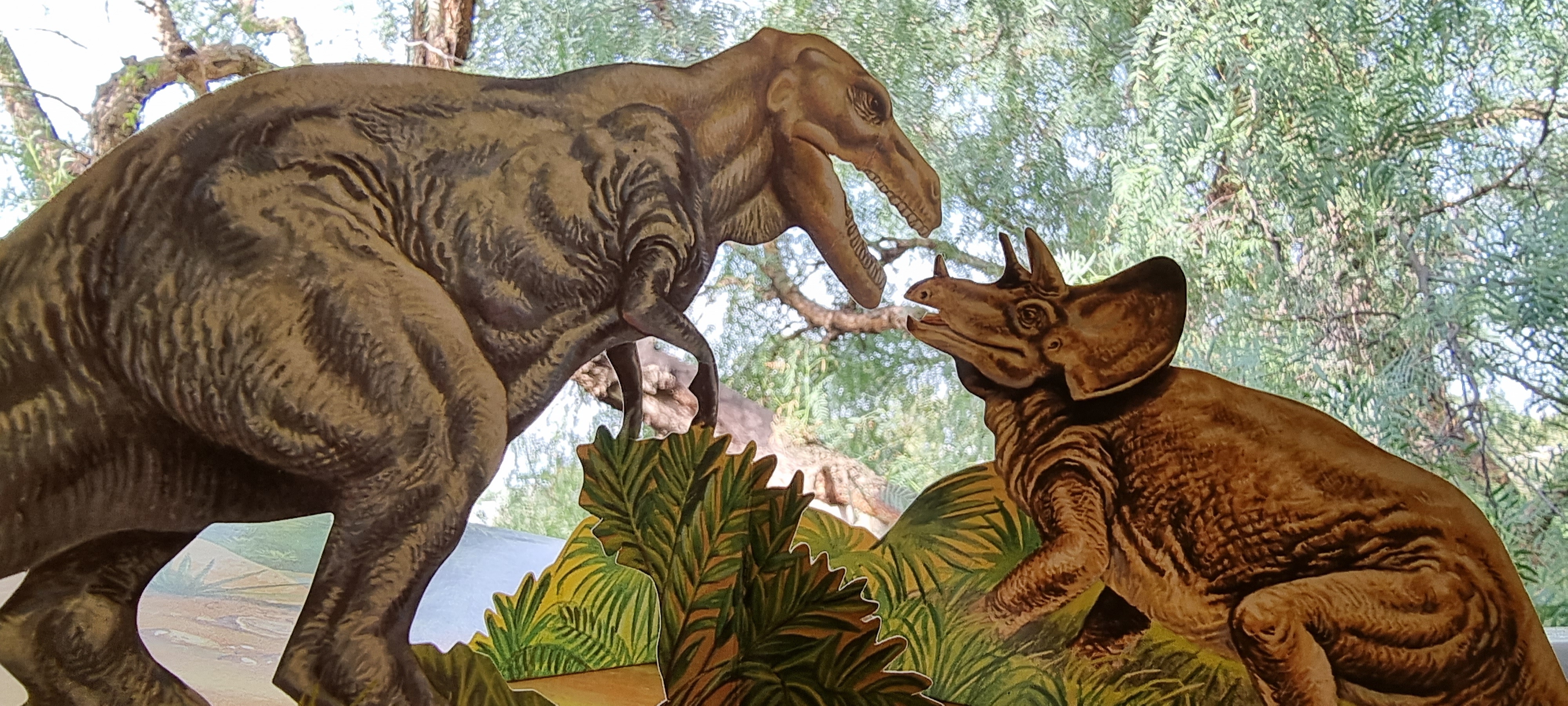 Tyrranosaurus fights Triceratops