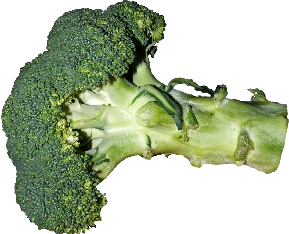 Broccoli, photo by Tiia Monto, via Wikimedia Commons