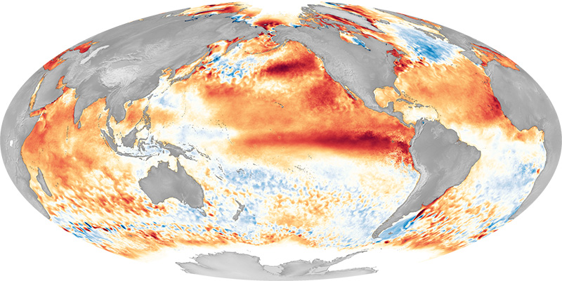 Map of Pacific Ocean sea surface temperatures from the 2016 El Niño event, showing the characteristic red tongue of warm water towards South America (Image by NOAA)