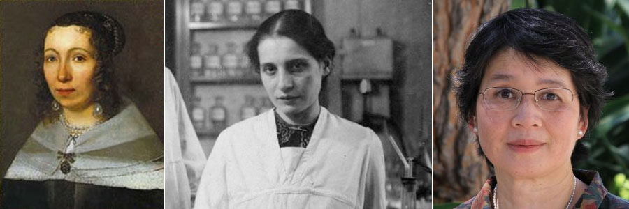 Left to right: Maria Sibylla Merian, Lise Meitner and Margaret Wu