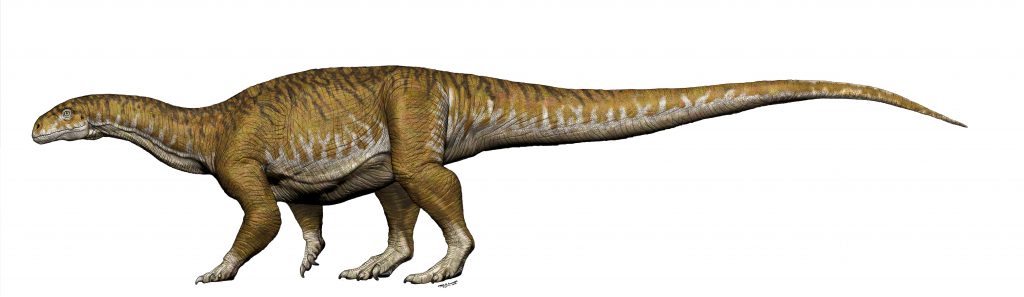 Newly discovered sauropod dinosaur Ingentia Prima (Image supplied by Jorge A. Gonzalez)