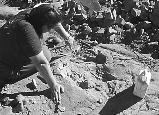 Paeleontologist Mary Wade from the Queensland Museum at a fossil dig site
