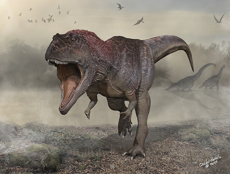Illustration of the newly discovered dinosaur Meraxes gigas, which evolved big heads and small arms similar to Tyrannosaurus rex (Image by Carlos Papolio, CC BY-SA 4.0, via Wikimedia Commons)