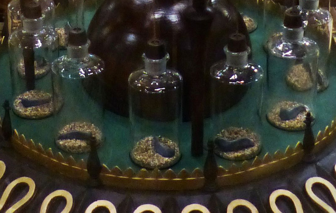 Weather-predicting leaches in a replica of George Merryweather's Tempest Prognosticator (photo by Badobadop, CC BY-SA 4.0, via Wikimedia Commons)