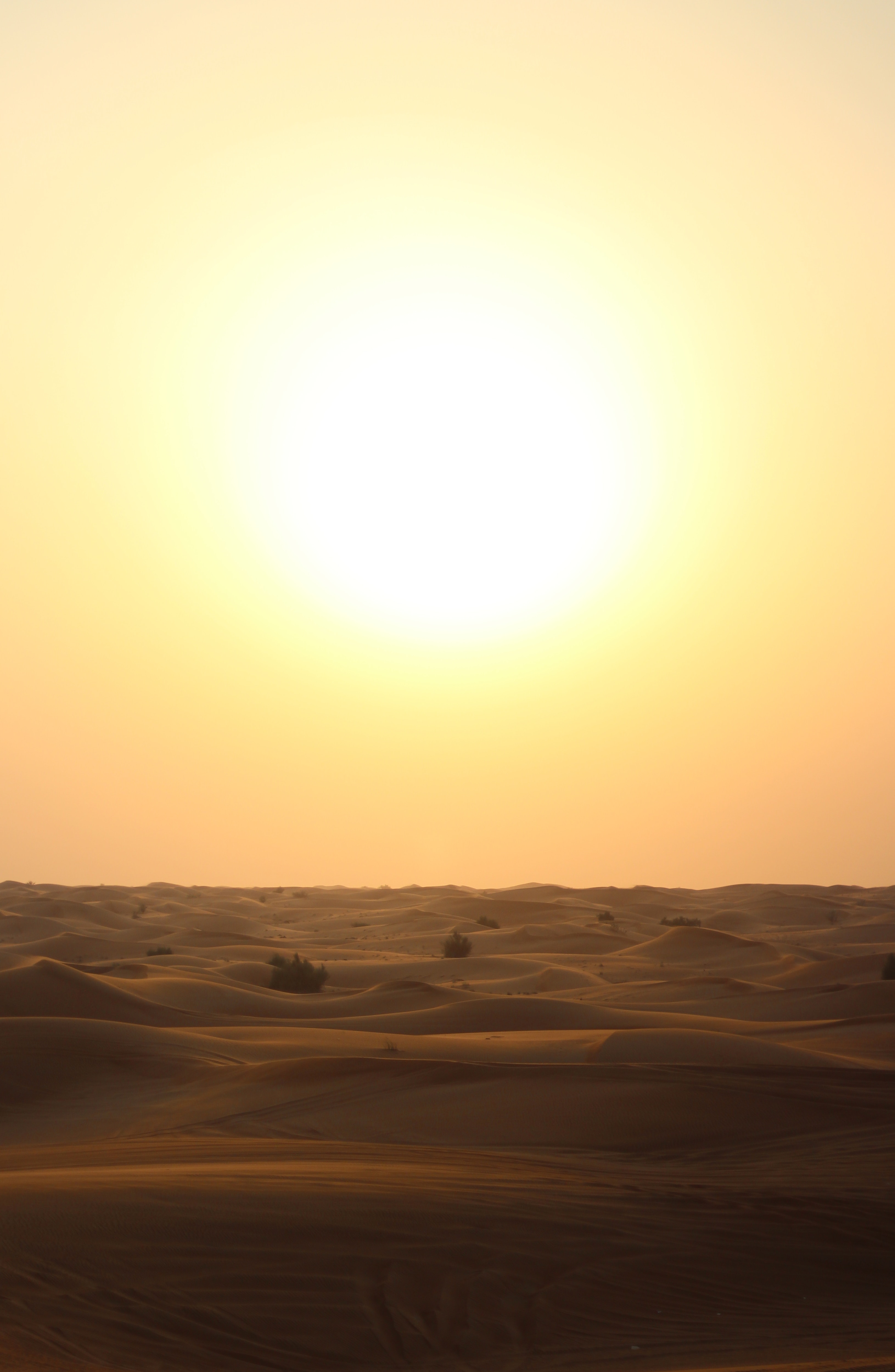 The scorching sun beats down on a desert