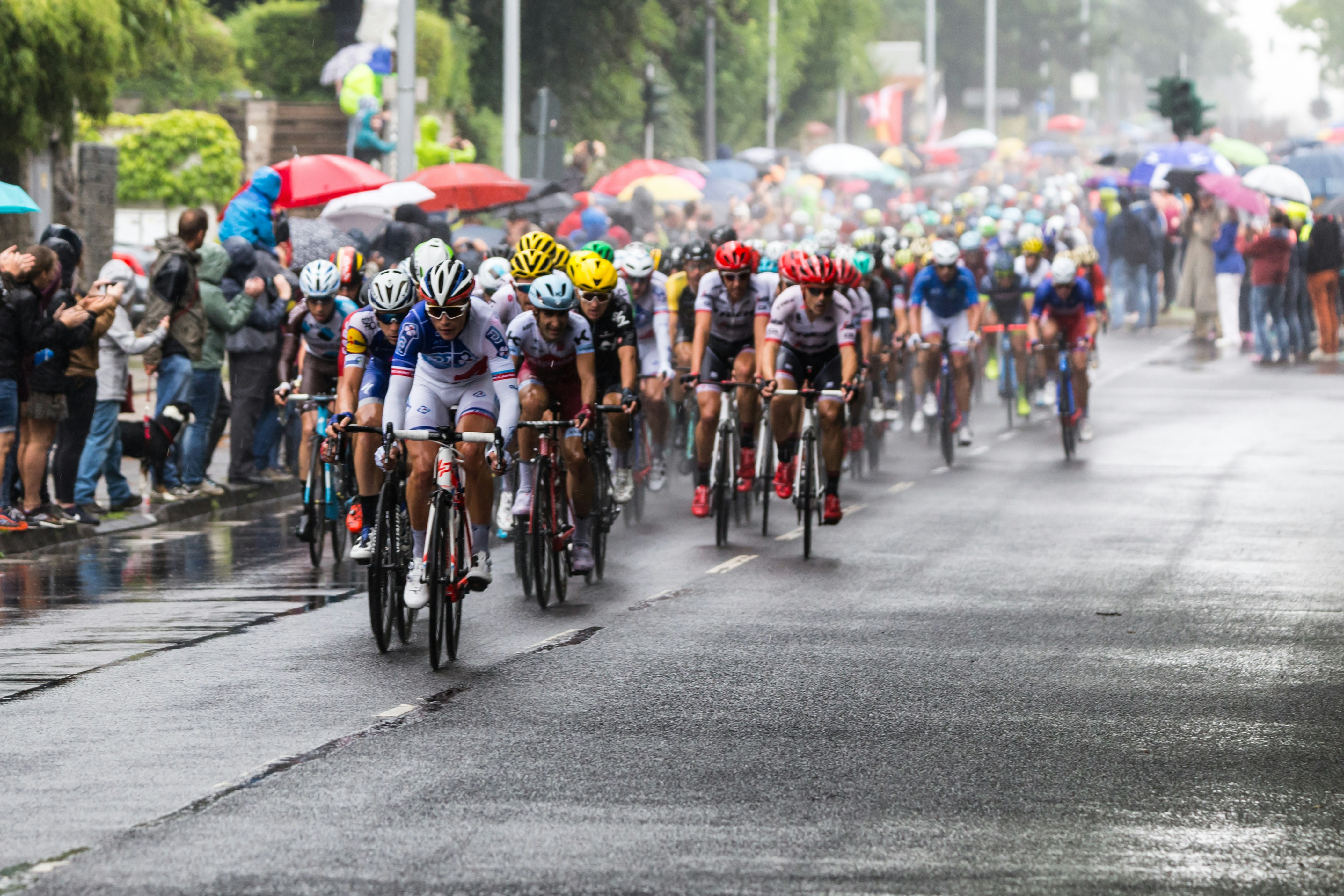 Cyclists in a peleton