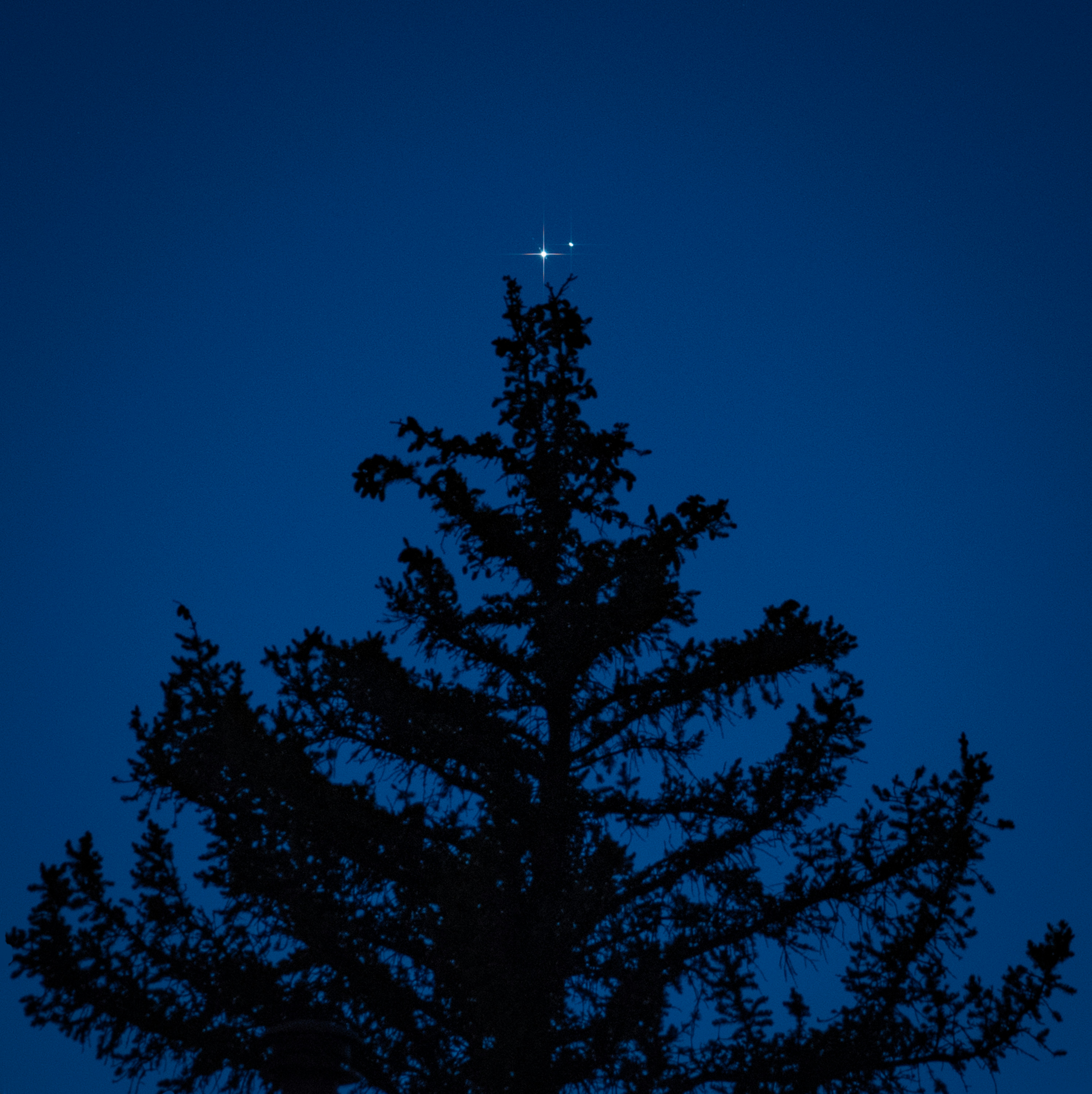A star above a pine tree