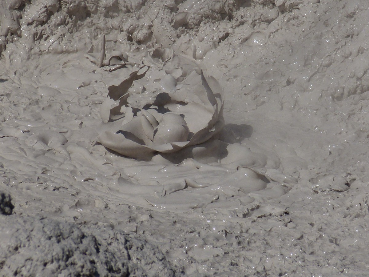 Boiling mud in Rotorua