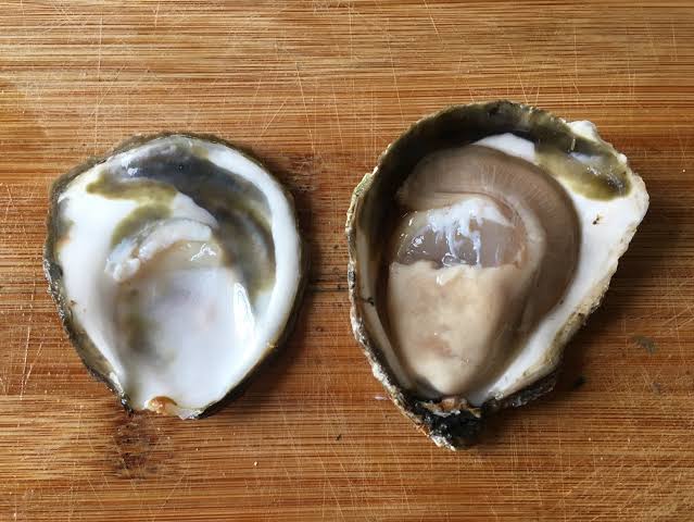 Not everybody likes eating oysters, but here's good news for those who do