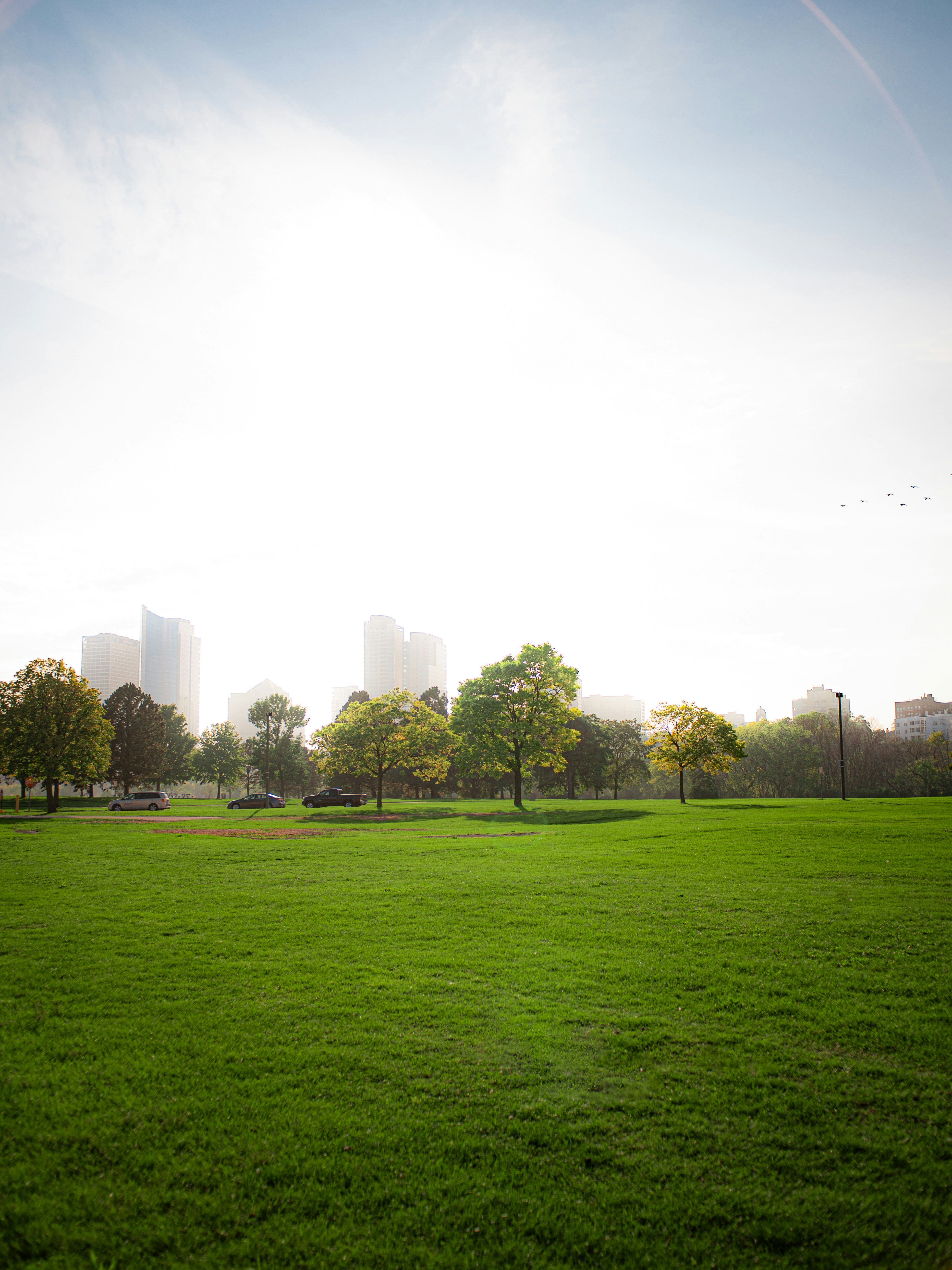 Urban parkland