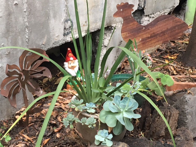 While Tim was on air his partner weeded our back garden. Legend!!