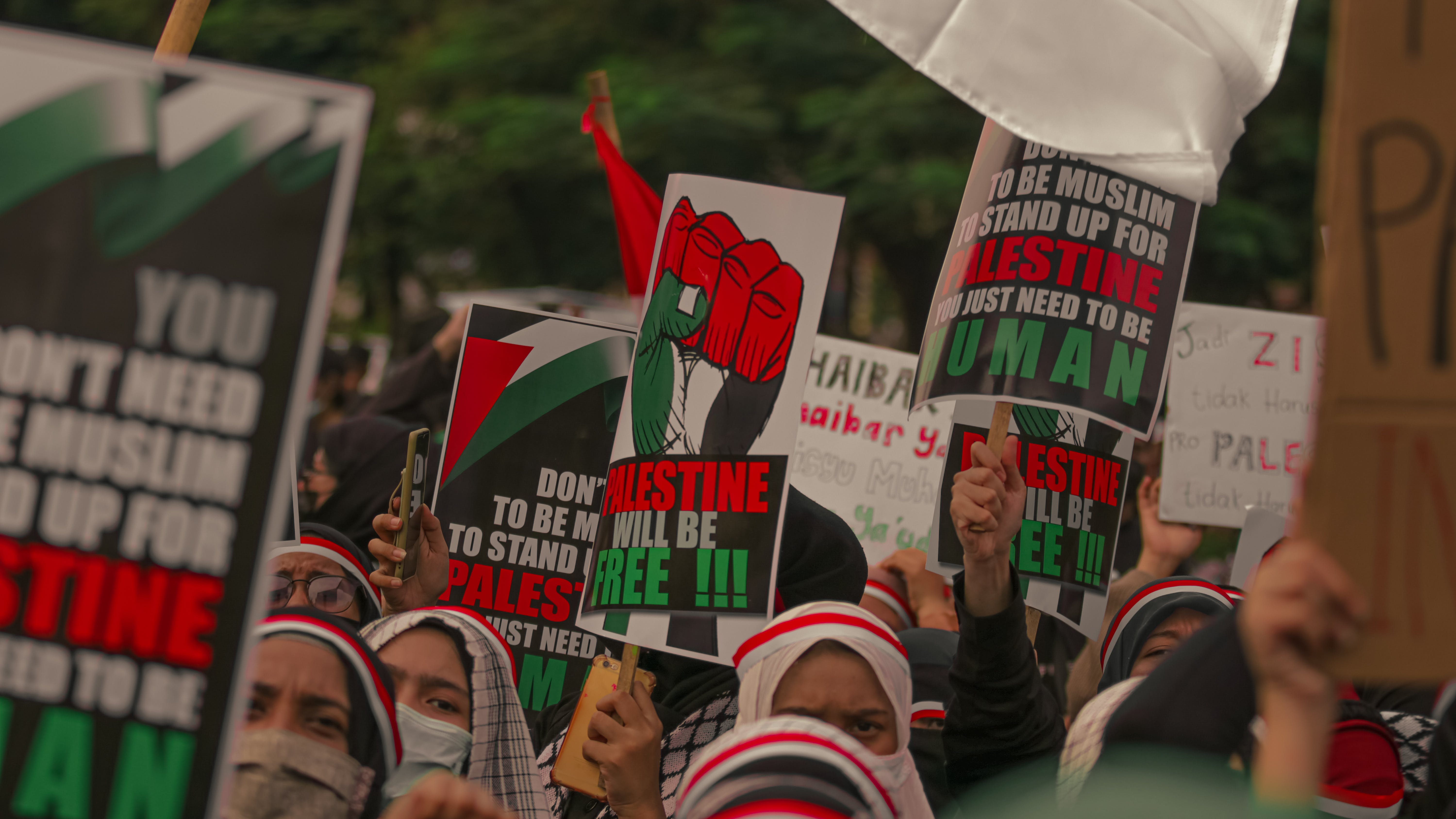Palestine Rally 