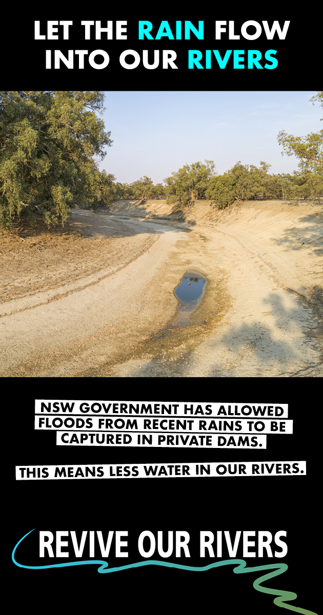 Image shows a dry river bed with the text "Let the rain flow into our rivers"