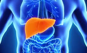 Hepatitis in the Liver 