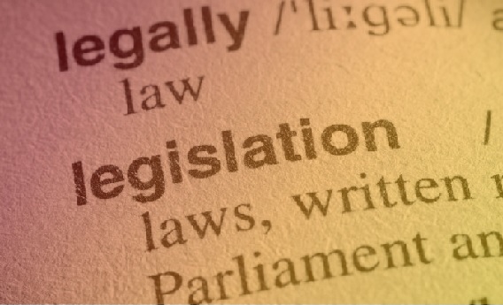 Three legislative perspectives