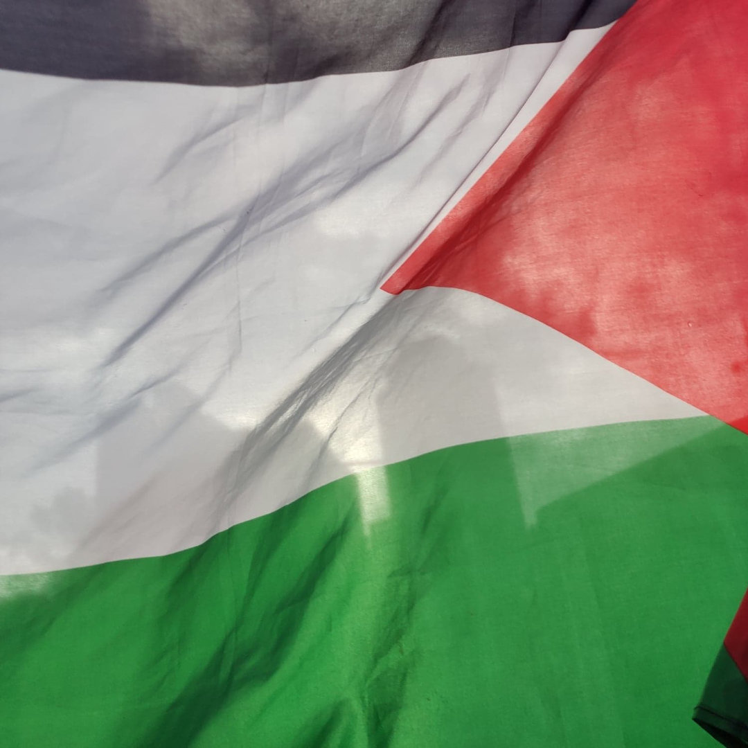Palestinian flag with city skyline in background