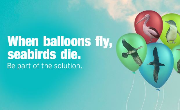 When Balloons Fly, Seabirds Die